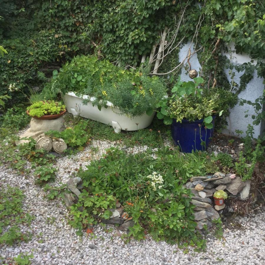 Ferienwohnung Hering In Dill Экстерьер фото