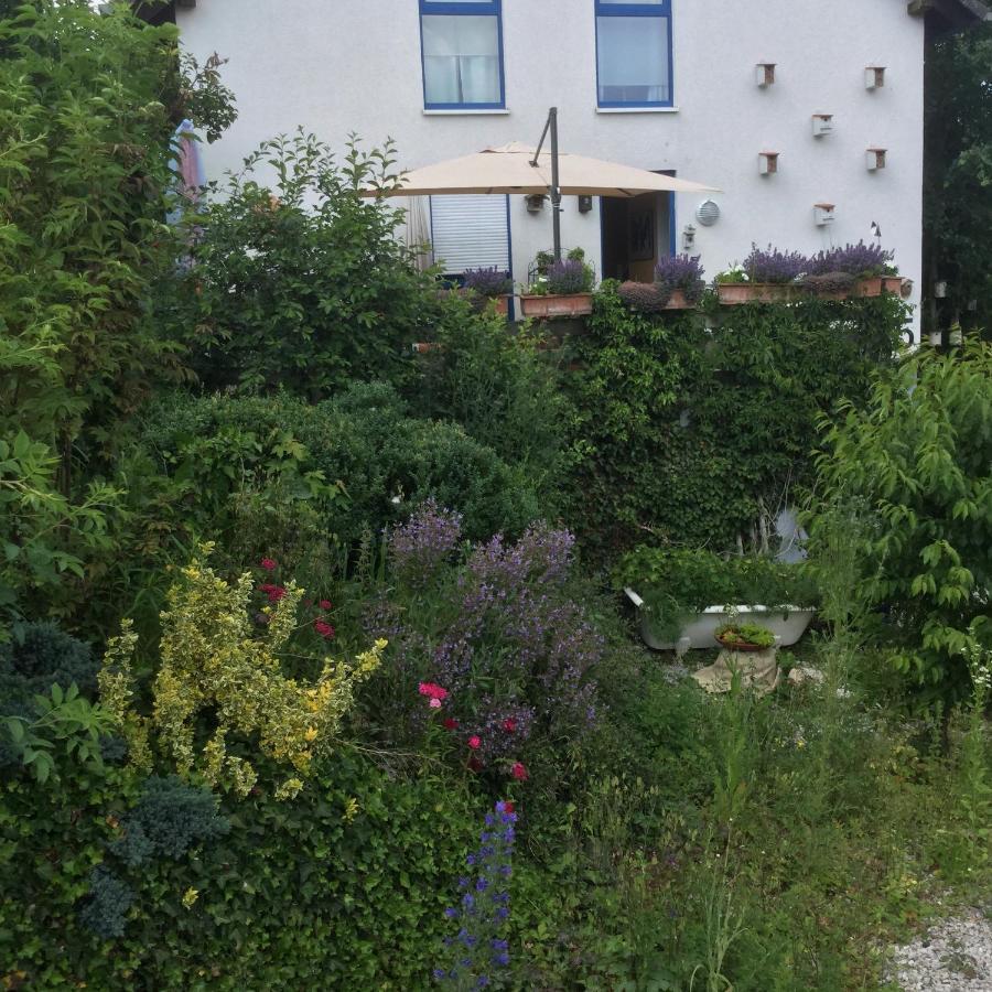 Ferienwohnung Hering In Dill Экстерьер фото