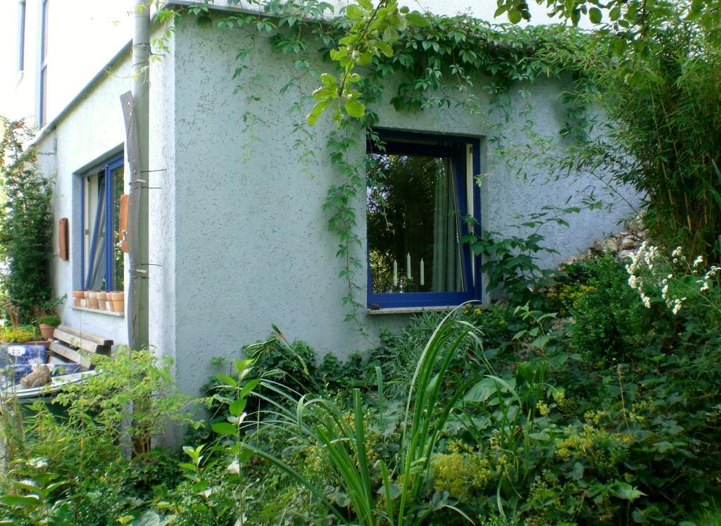 Ferienwohnung Hering In Dill Номер фото