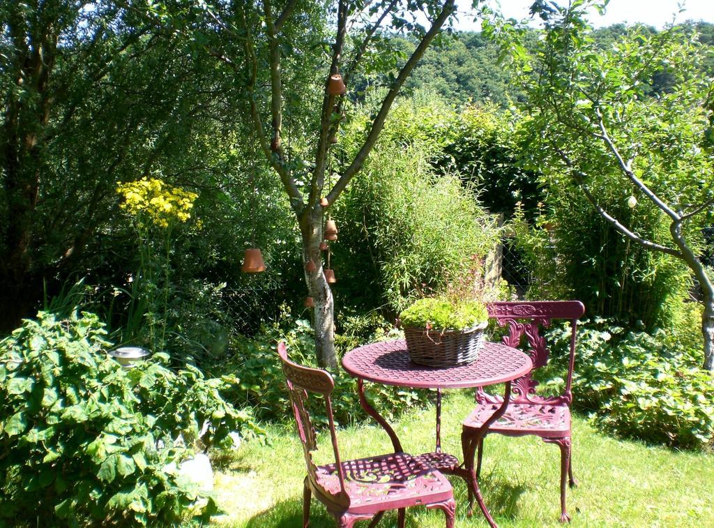 Ferienwohnung Hering In Dill Номер фото