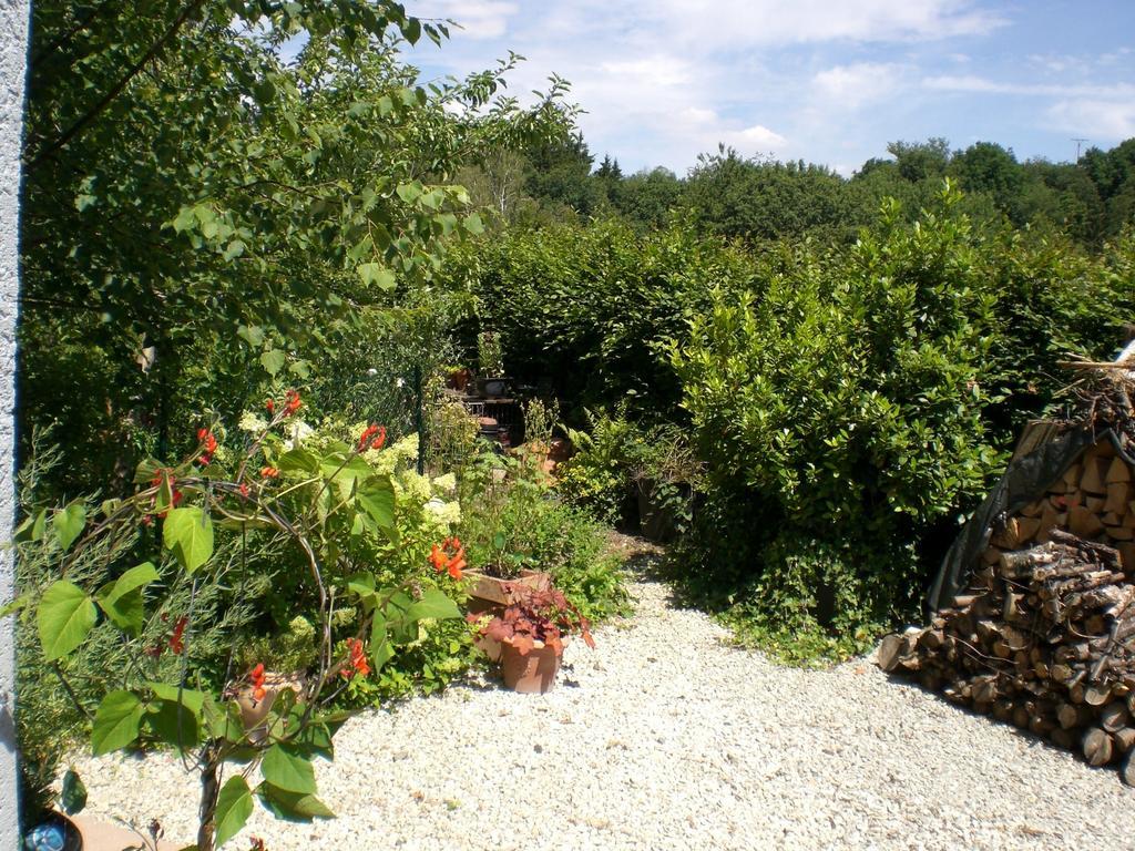 Ferienwohnung Hering In Dill Номер фото